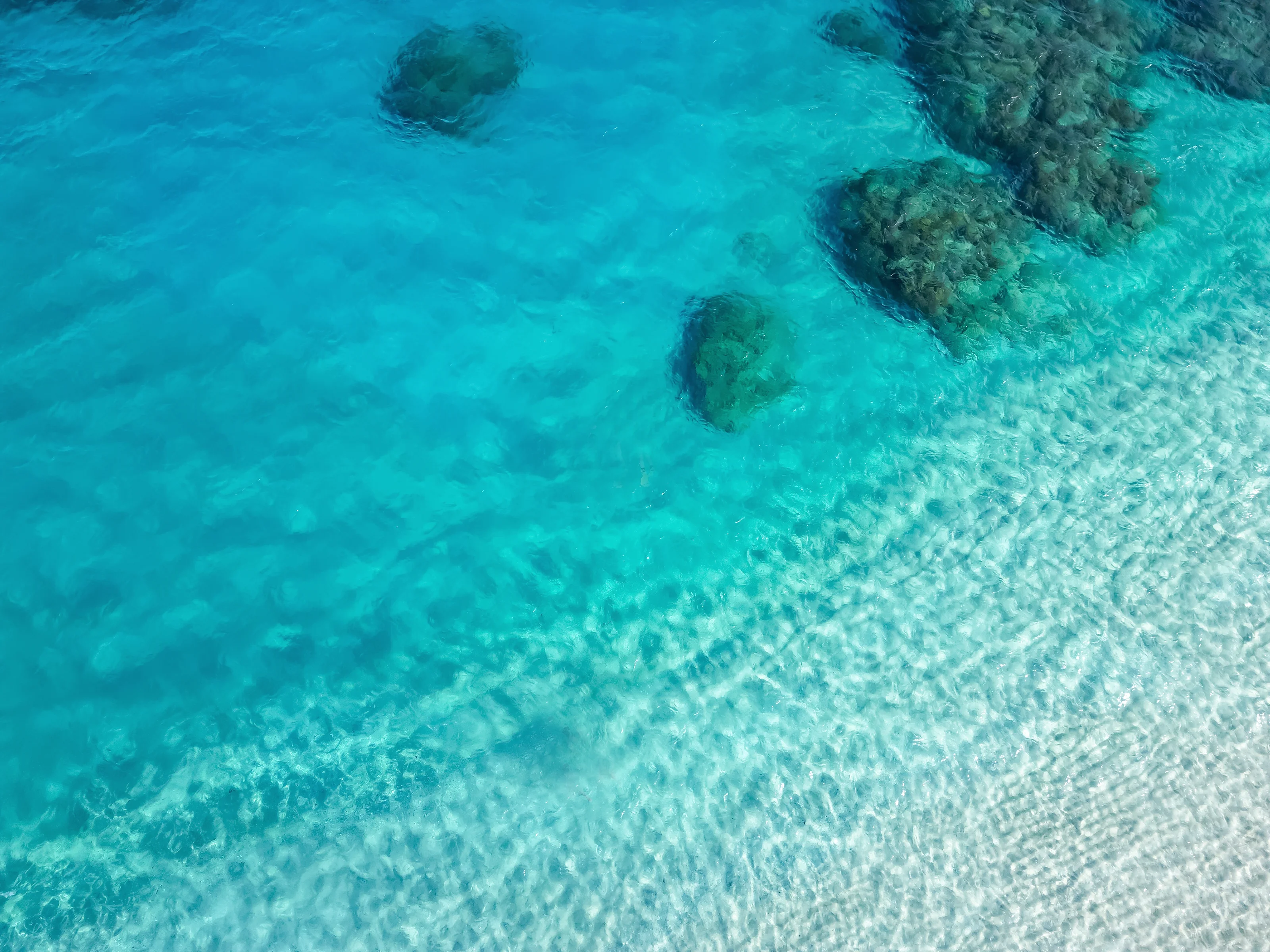 VITSOL（釣り船 / レンタカー / SUP体験 / シュノーケリング / 宿泊事業 / クルージング）