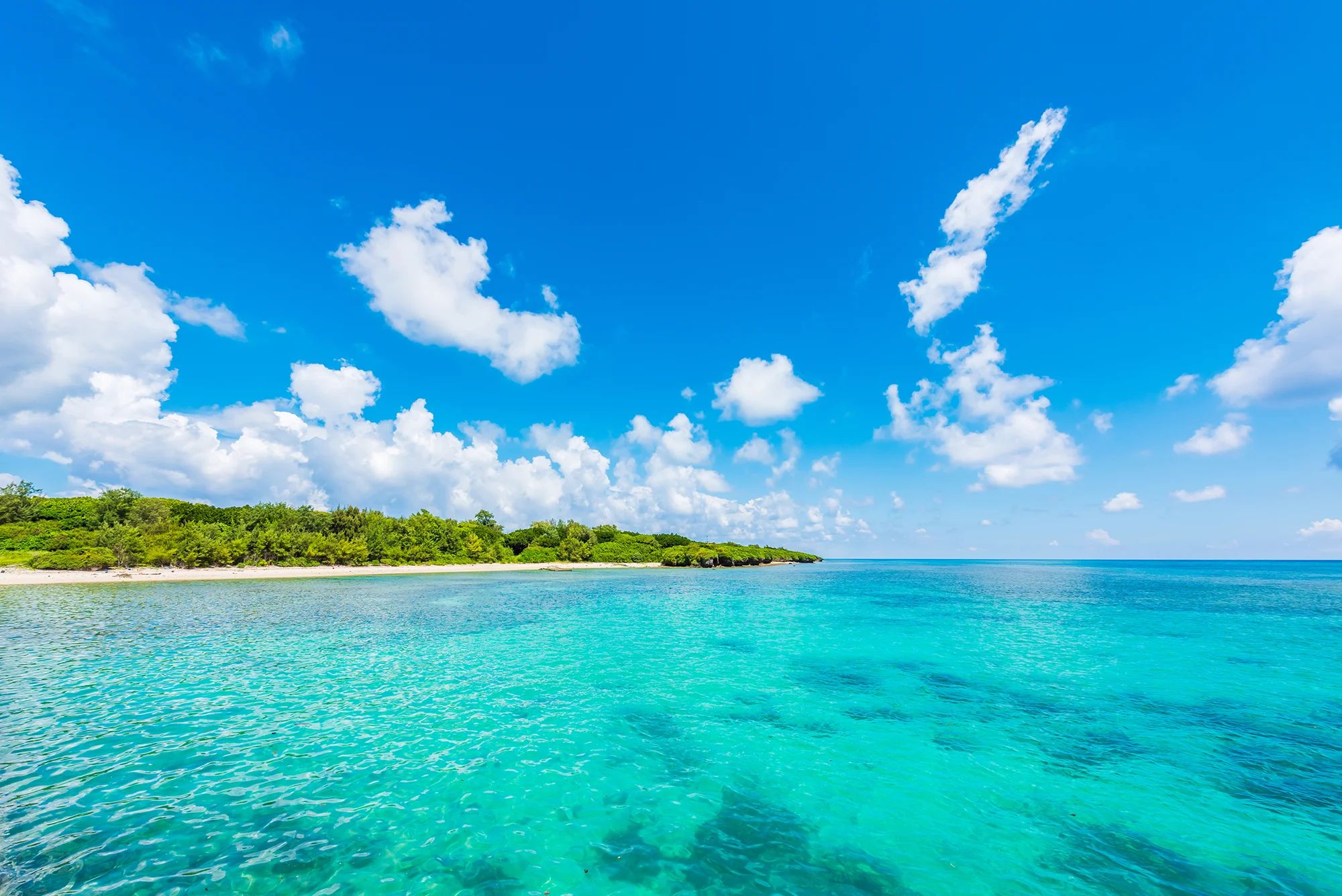 手つかずの自然が残る多良間島の海
