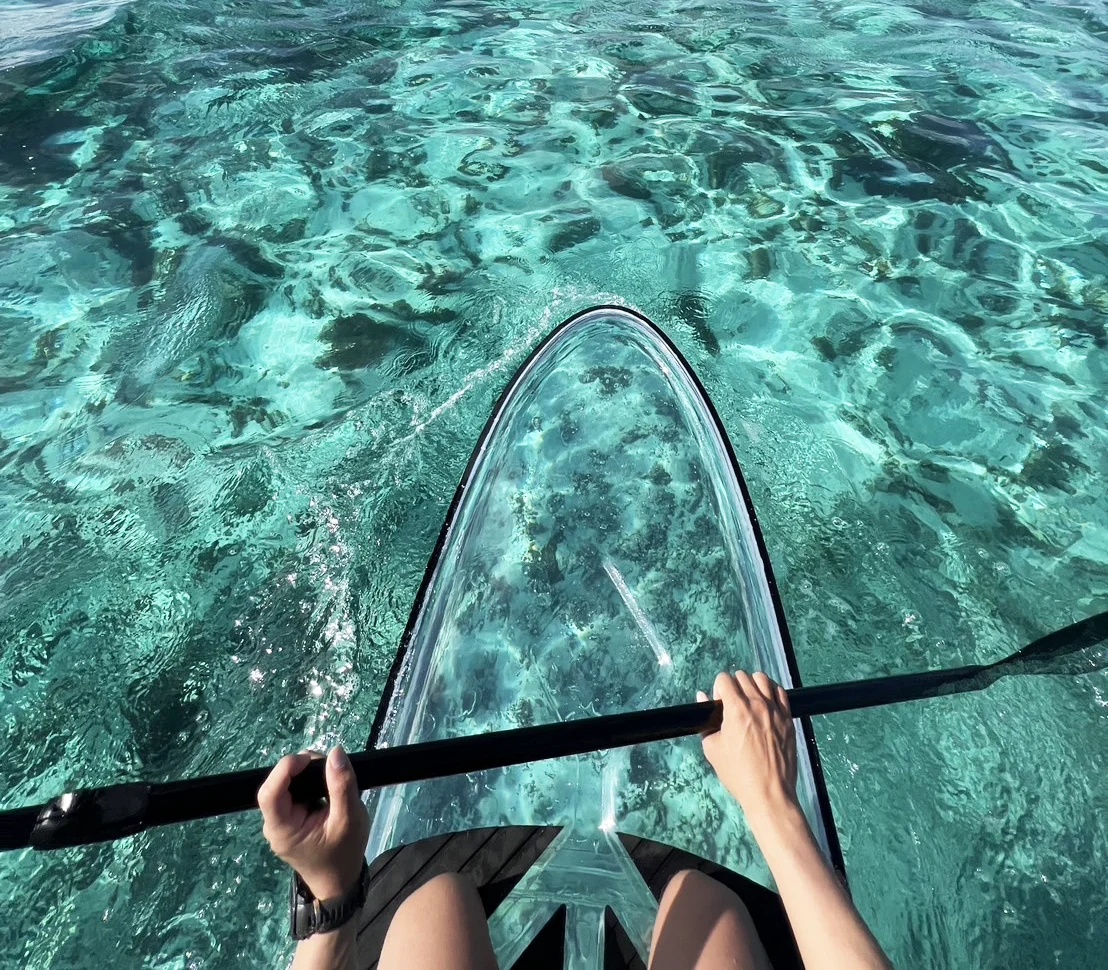 クリアボードで海の透明度がわかる！