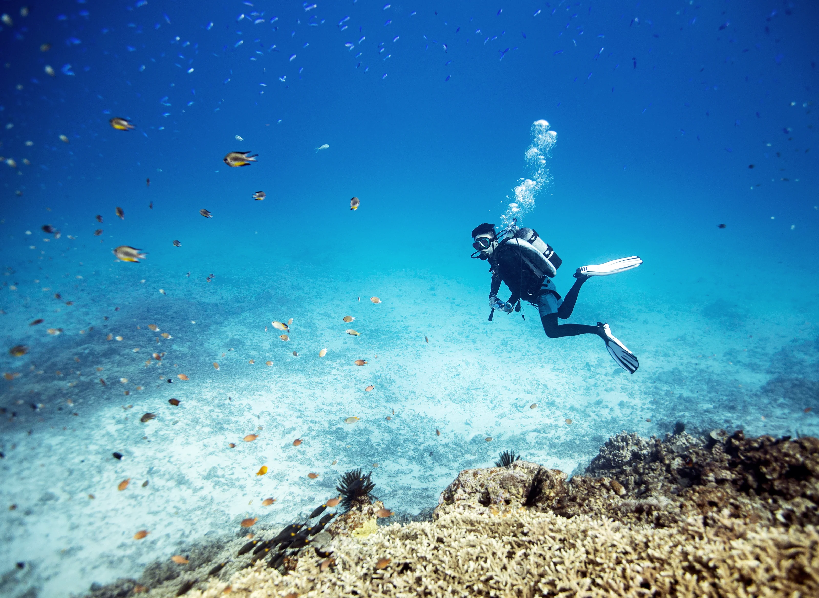 シュノーケリングはこんな方におすすめ