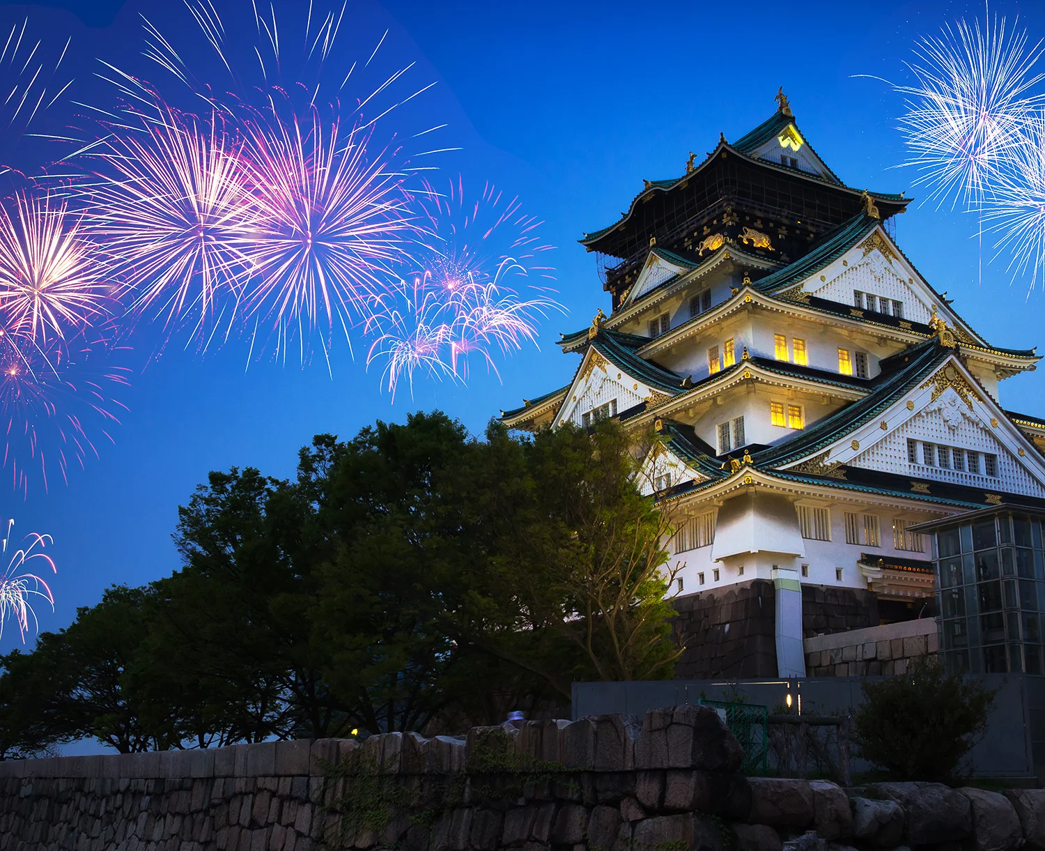 夏の涼風クルーズ